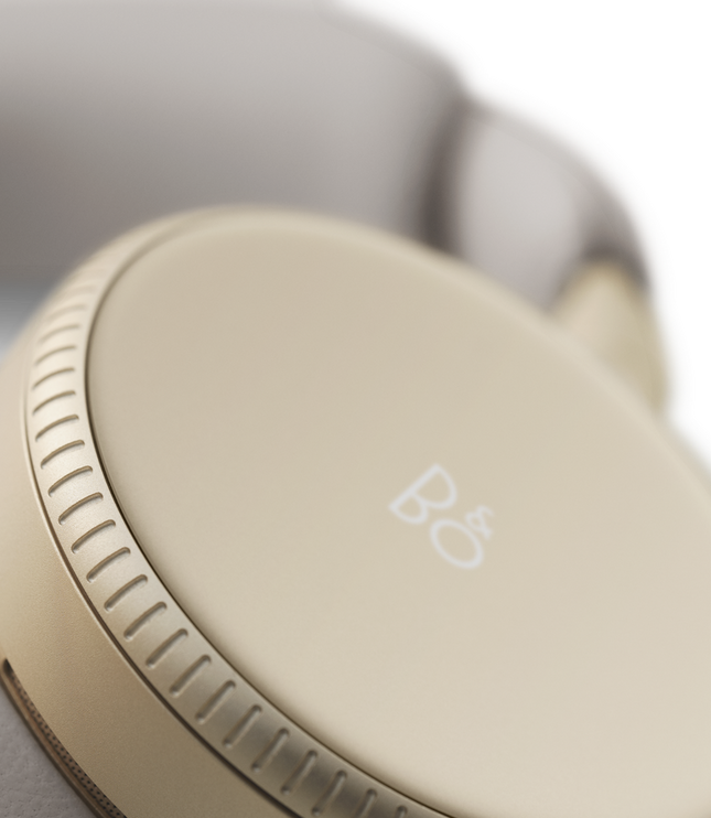 Bang & Olufsen BeoPlay H100