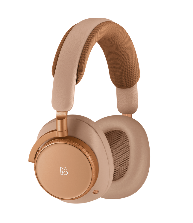 Bang & Olufsen BeoPlay H100