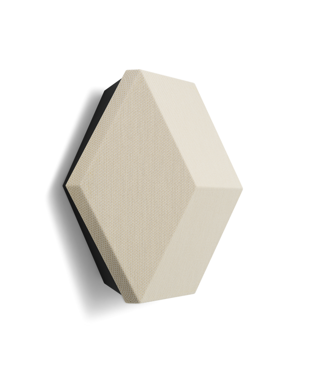 Bang & Olufsen BeoSound Shape