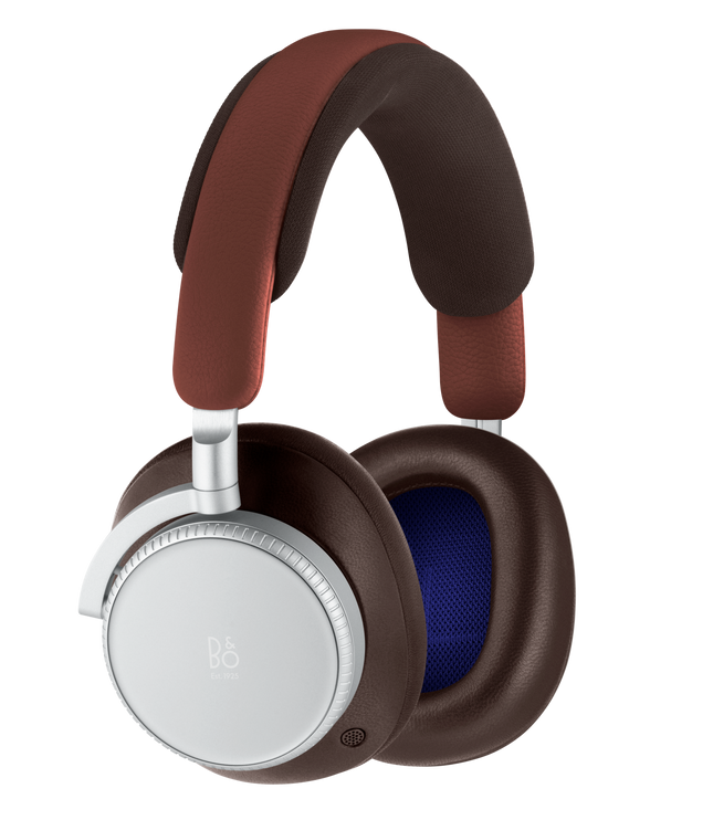 Bang & Olufsen BeoPlay H100