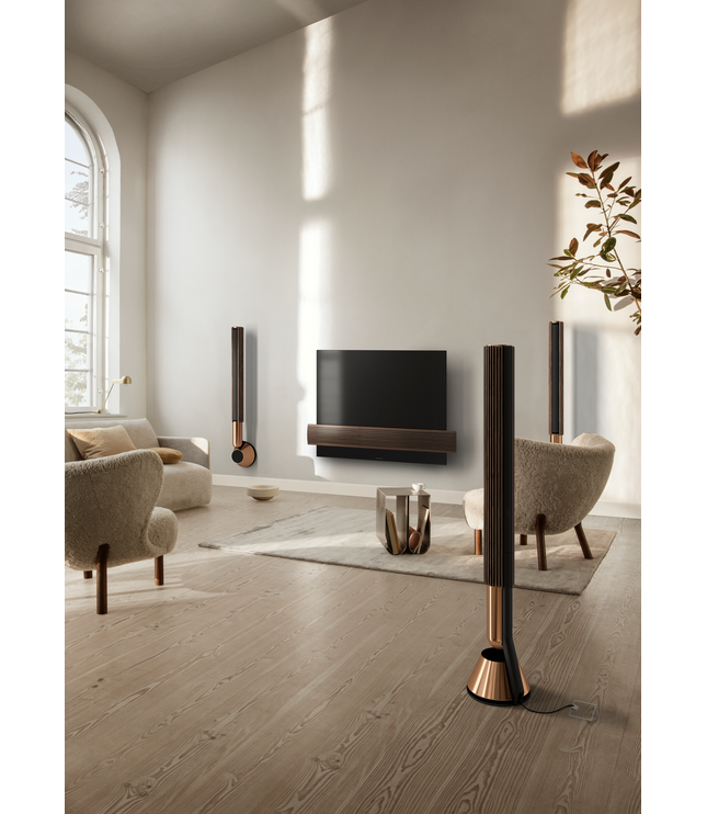 BeoLab 28