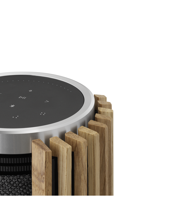 BeoLab 28