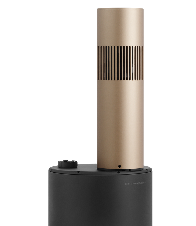 Bang & Olufsen B&O BeoSound Bollard