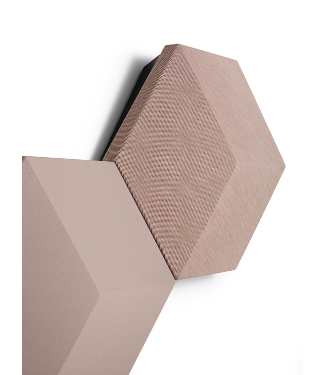 Bang & Olufsen BeoSound Shape