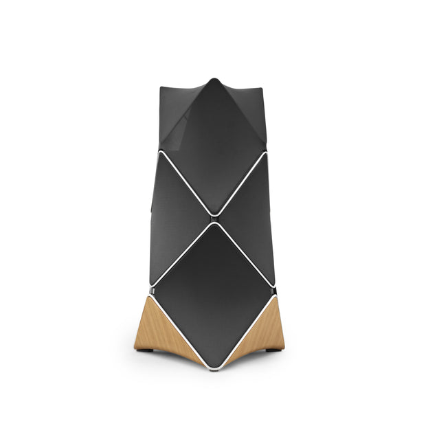 Bang & Olufsen BeoLab 90 Hifi luidspreker – Bang & Olufsen ter Horst