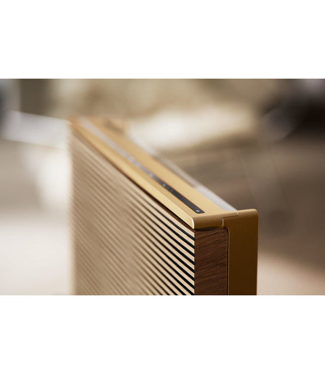 BeoSound Level aluminium (Re-loved)