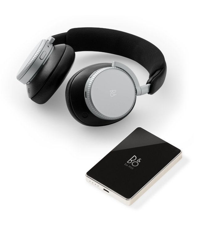 Bang & Olufsen BeoPlay H100